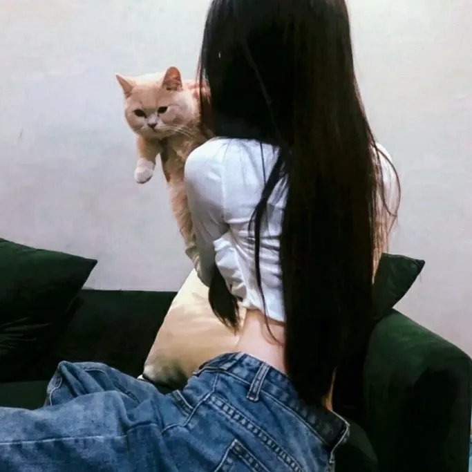 错鸣鸾